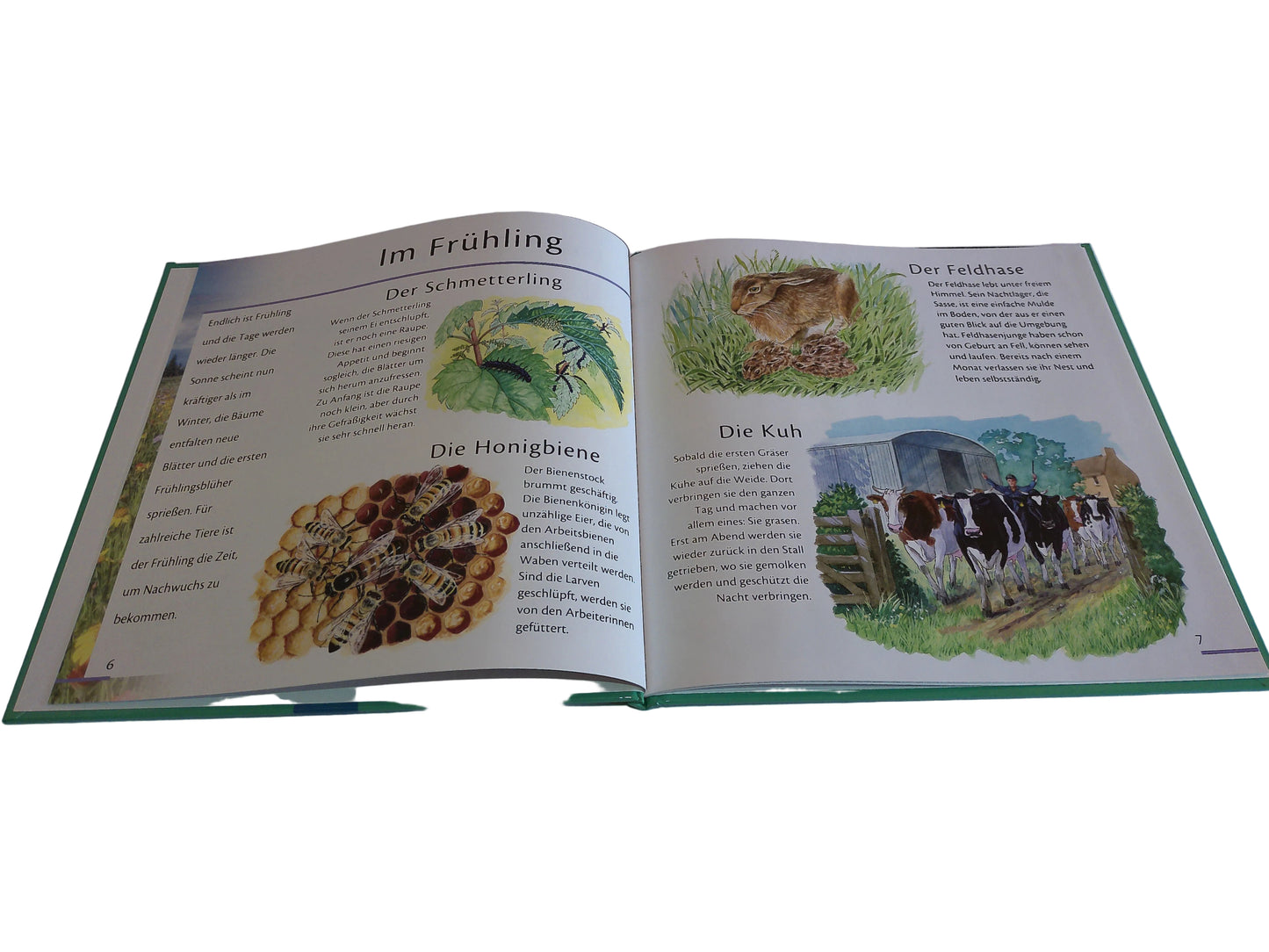 Trötsch Verlag Unsere Tiere in Feld und Flur, Ein Jahr in der Natur 22,7 cm x 22,7 cm