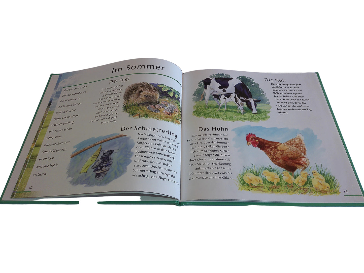 Trötsch Verlag Unsere Tiere in Feld und Flur, Ein Jahr in der Natur 22,7 cm x 22,7 cm
