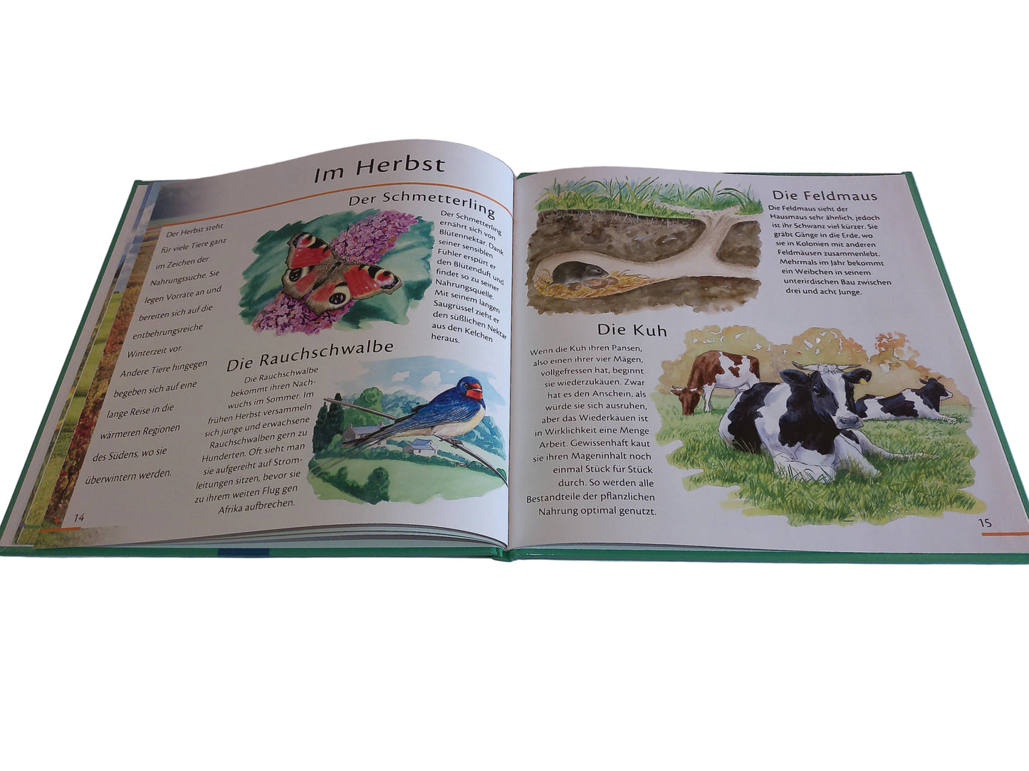 Trötsch Verlag Unsere Tiere in Feld und Flur, Ein Jahr in der Natur 22,7 cm x 22,7 cm