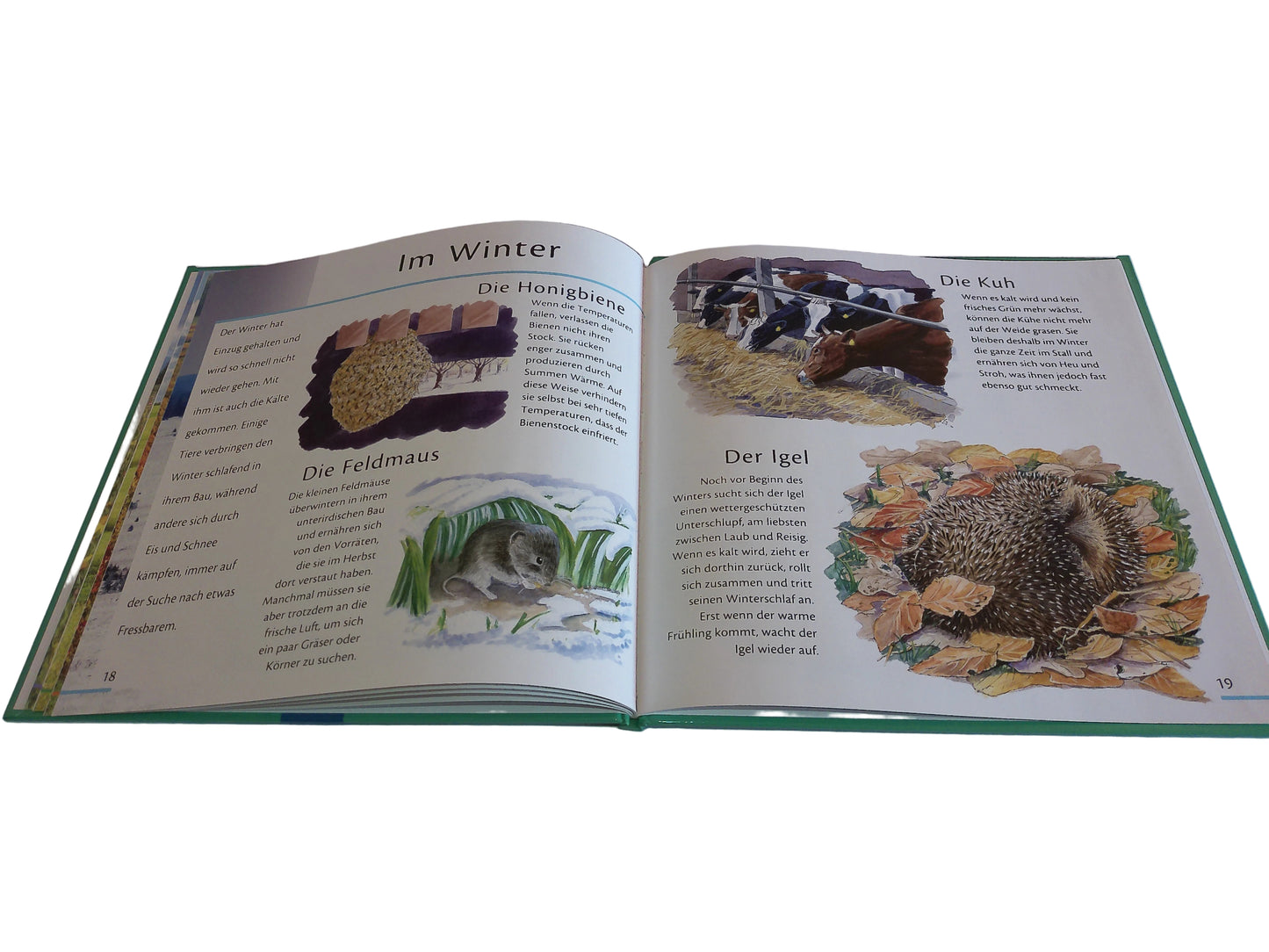 Trötsch Verlag Unsere Tiere in Feld und Flur, Ein Jahr in der Natur 22,7 cm x 22,7 cm